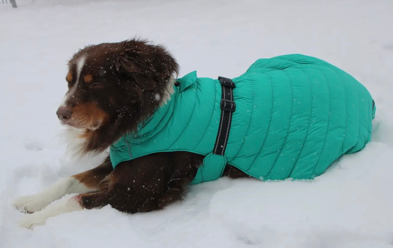 Alpine Extreme Weather Puffer Coat