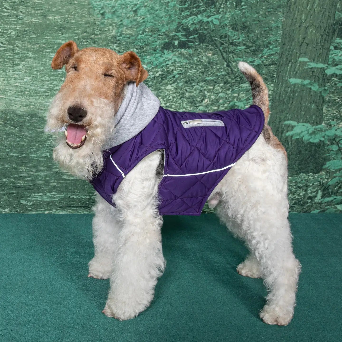 Weekender Quilted Hoodie Dog Sweatshirt