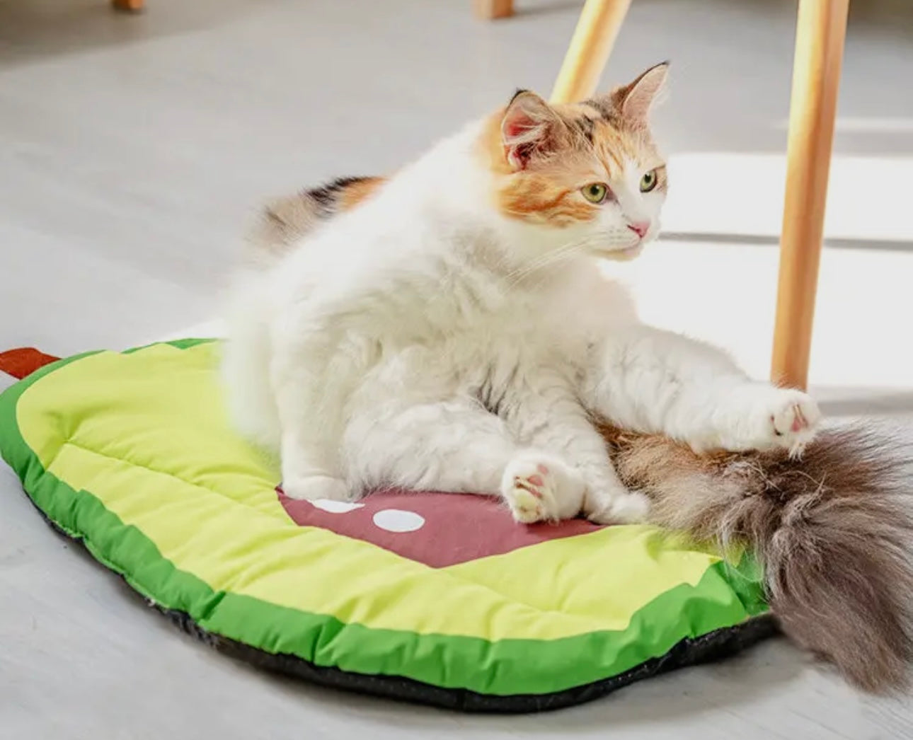 Avocado Cat or Small Dog Cooling Mat