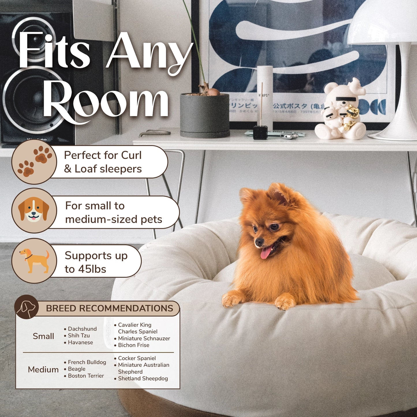 Oslo Modern Luxury Pet Bed