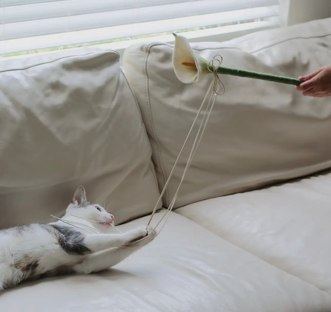 Flora Calla Lilly Cat Toy Wand