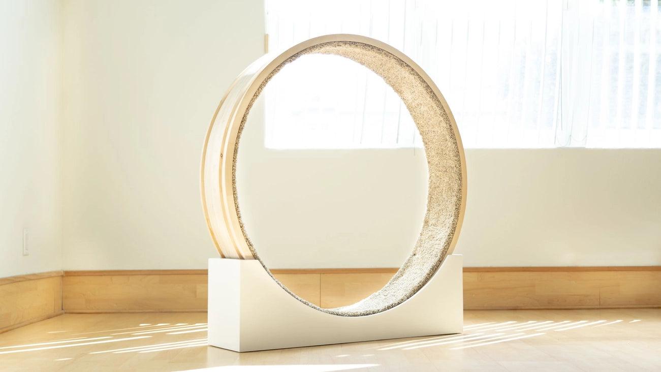 Cat Exercise Running Wheel