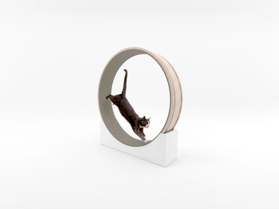 Cat Exercise Running Wheel