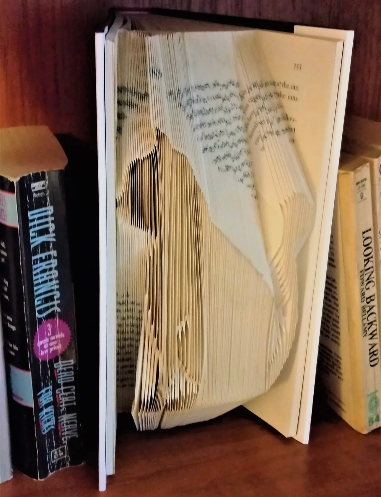 Sculpted Cat Book