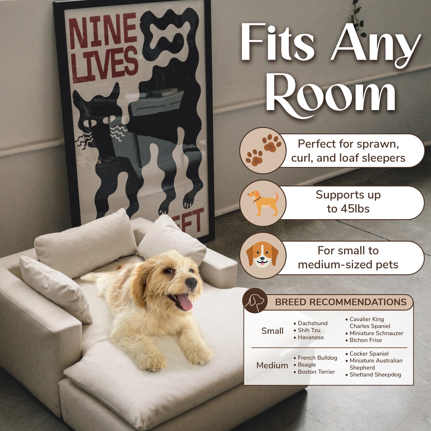 Luxe Modern Luxury Pet Bed