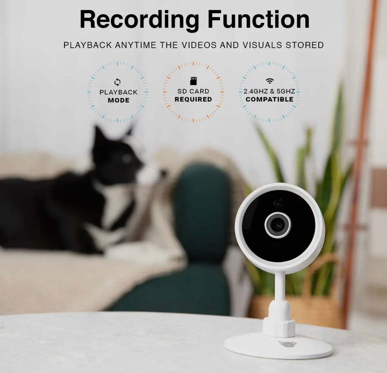 Purrsight Mini Smart Pet Camera
