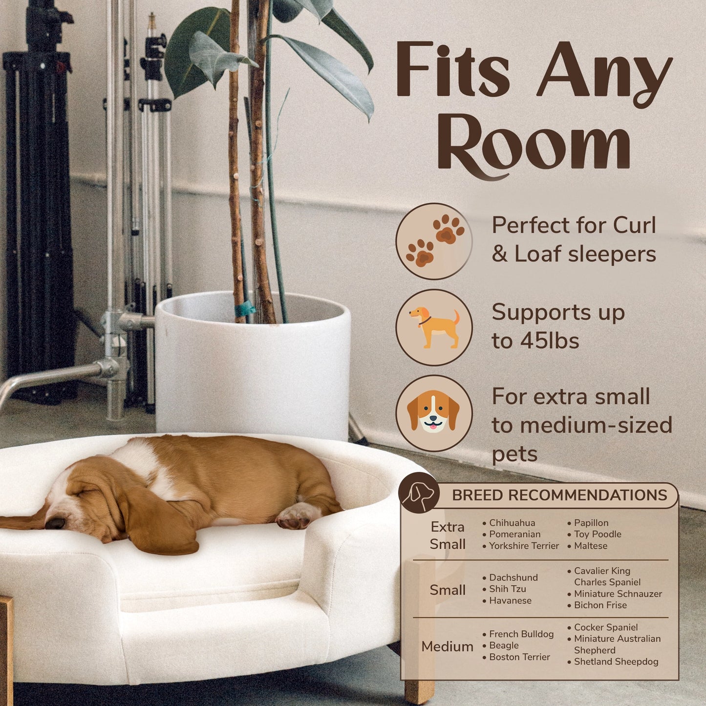 Belle Modern Luxury Pet Bed