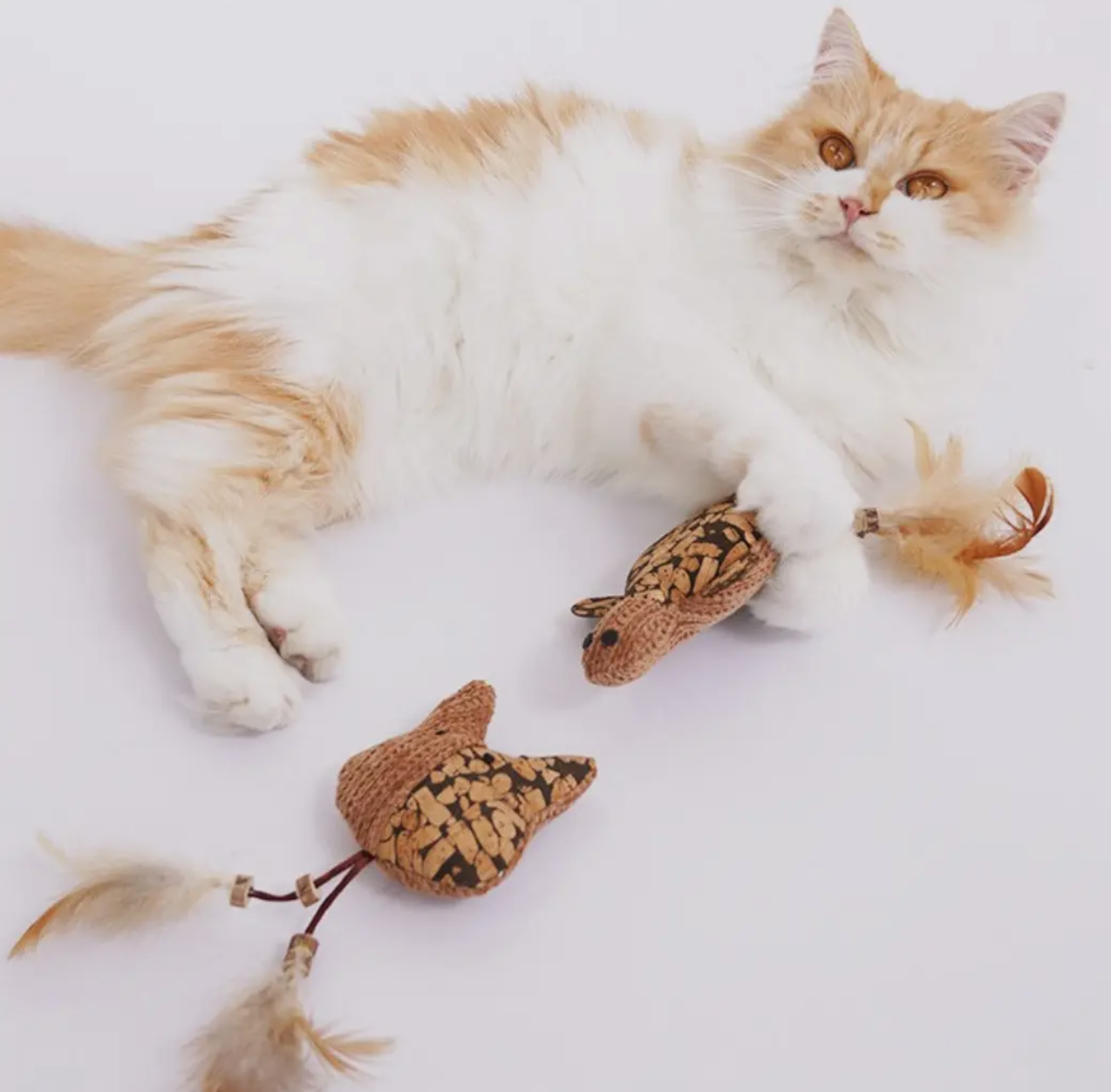 Woven Plush Feather Cat Toy