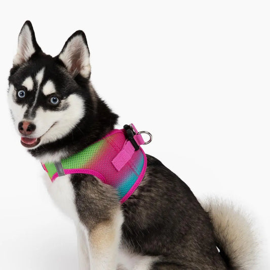 American River Cotton Candy Ombré Step In Dog Harness