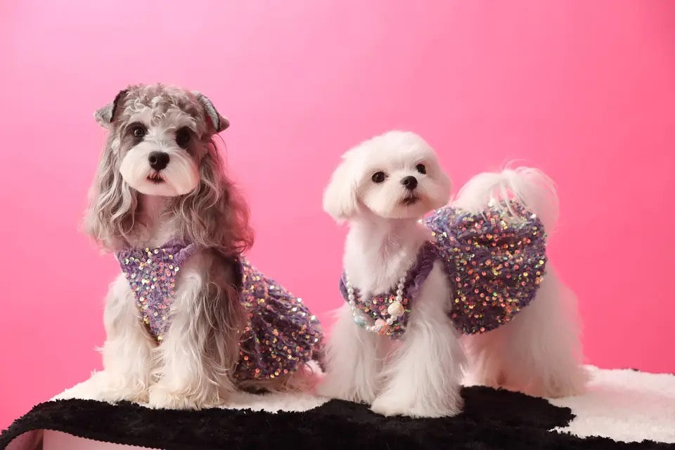 Luxe Purple Sequin Pet Dress