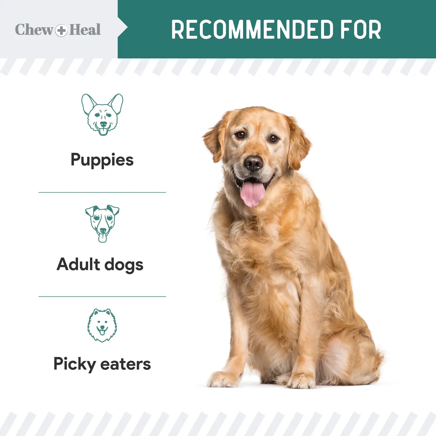 Essential 12-in-1 Multivitamin Soft Chews For Dogs