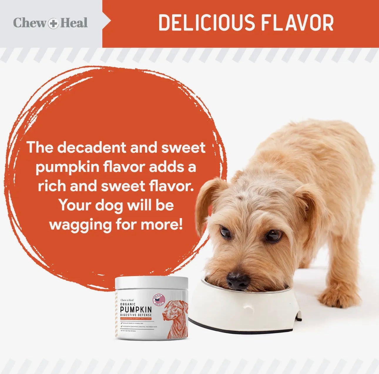 Organic Pumpkin Digestive Defense for Dogs