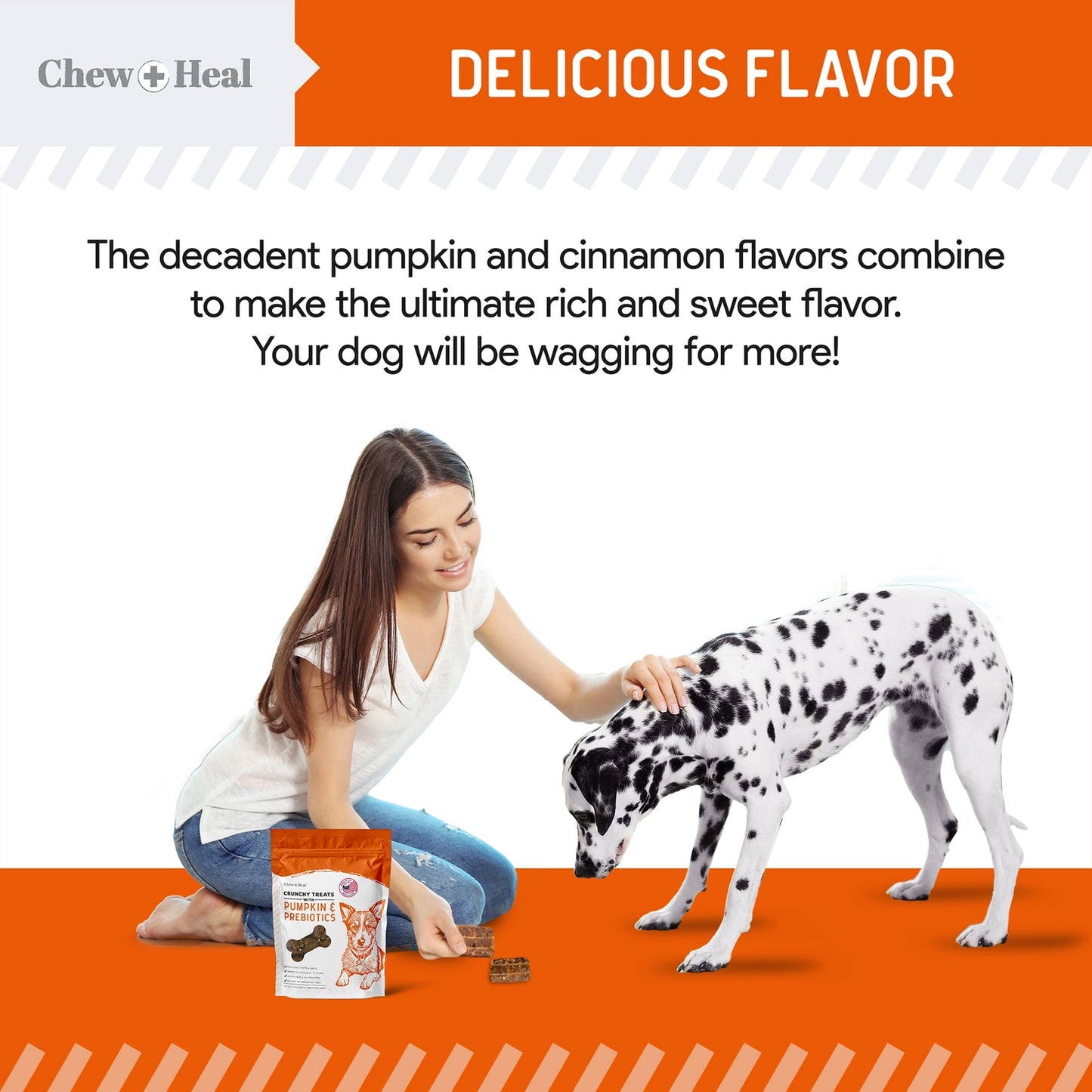 Pumpkin & Probiotics Crunchy Dog Treats