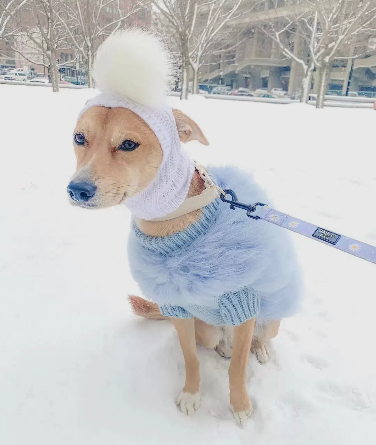 Haute Couture Luxury Feather Pet Sweater