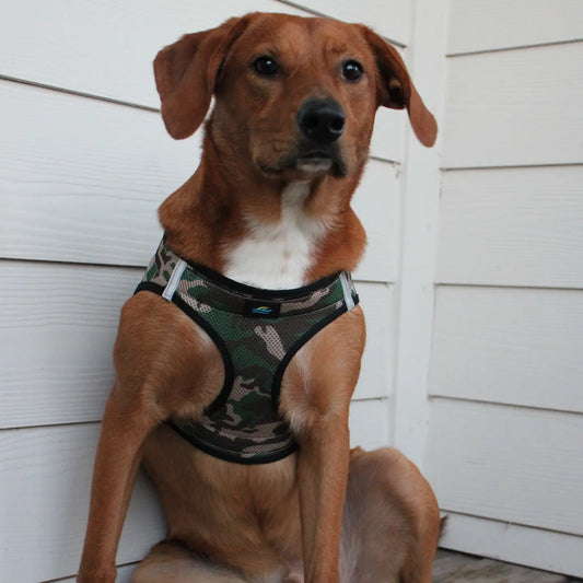 American River Camo Step In Dog Harness