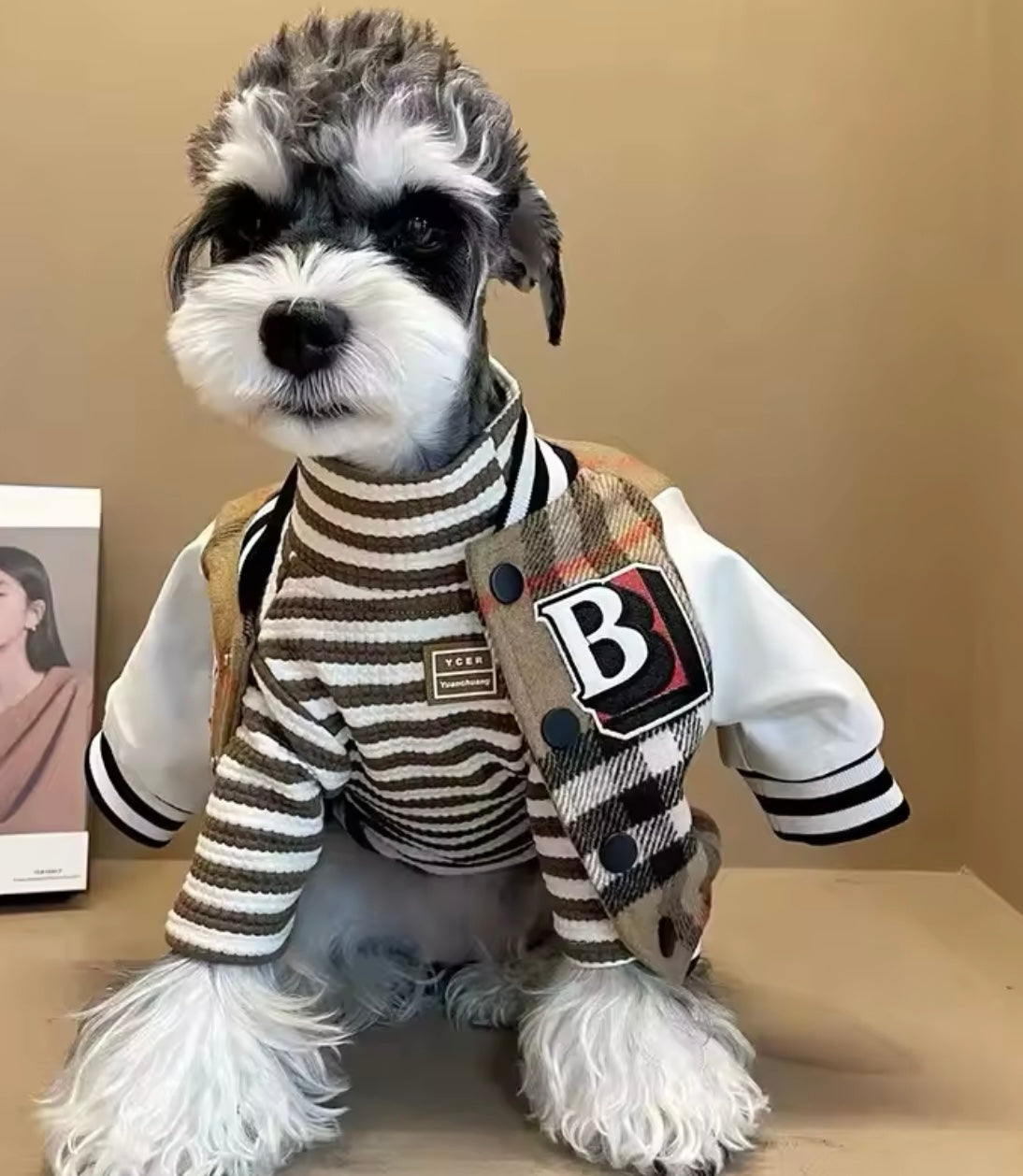 Designer Inspired Plaid Letterman Coat for Small Dogs and Cats