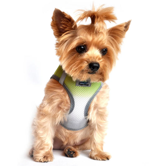 American River Limestone Gray Step In Dog Harness