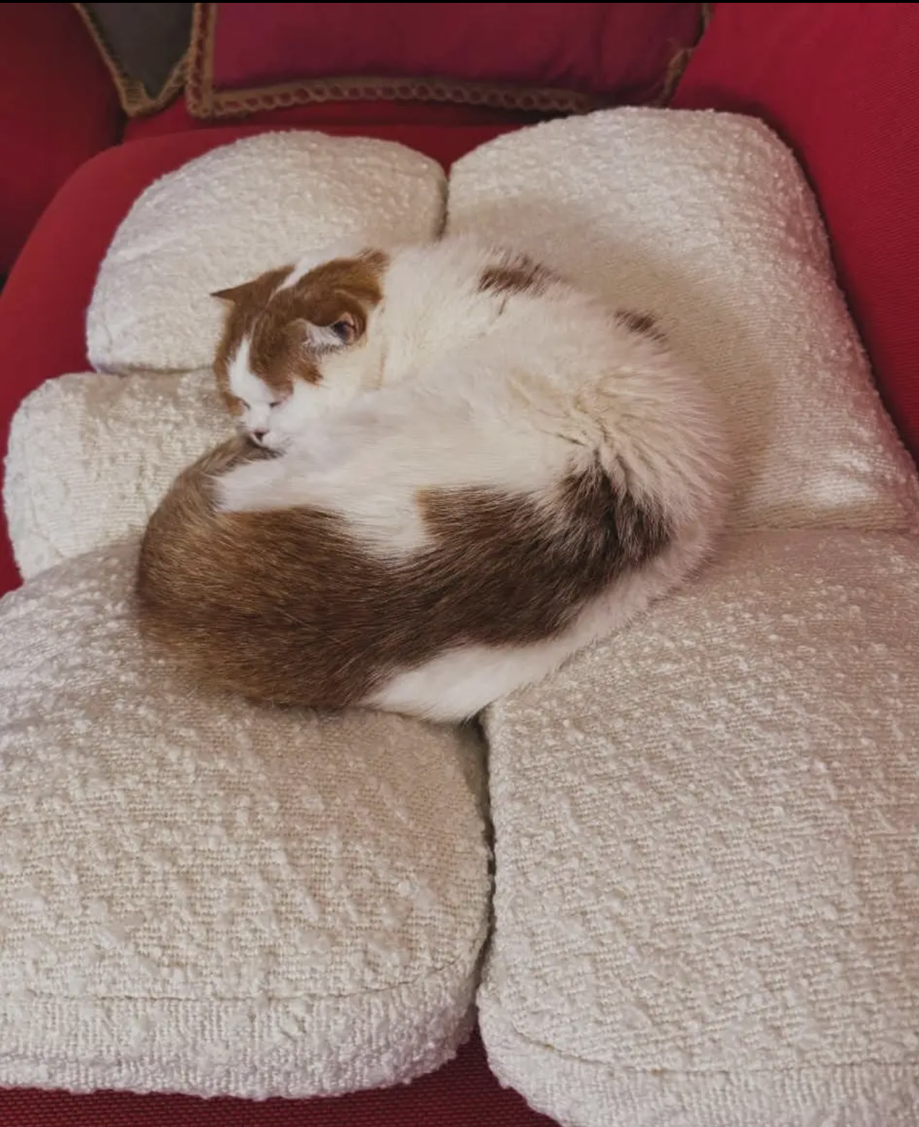 Boucle Pebble Pet Bed