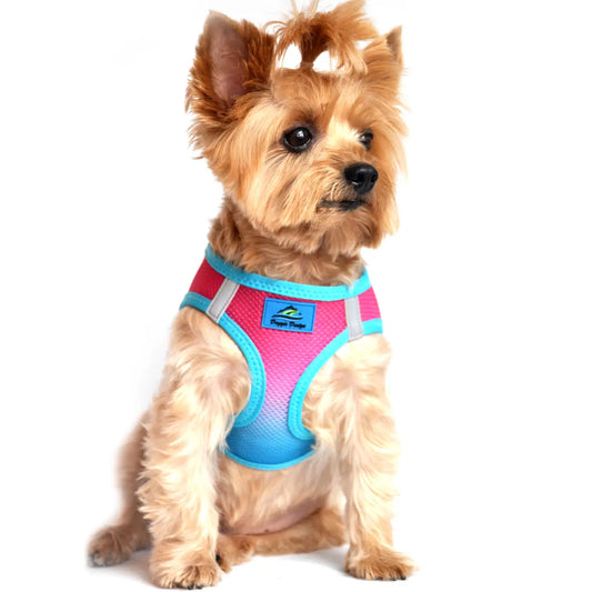American River Sugar Plum Step In Dog Harness