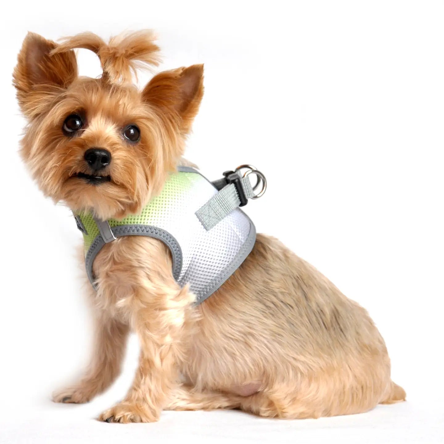 American River Limestone Gray Step In Dog Harness