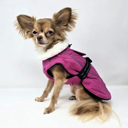 Alpine Tuf Terrain Dog Coat