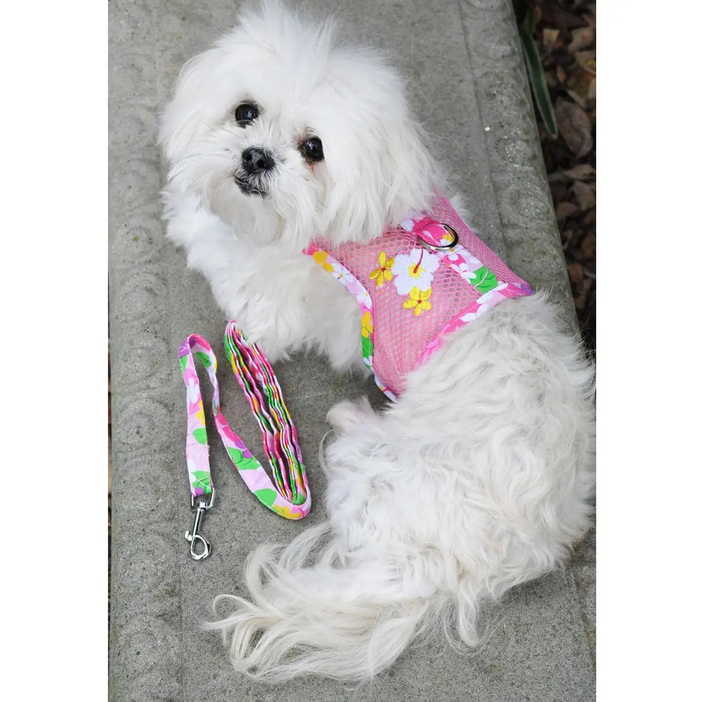 Cool Mesh Pink Hawaiian Floral Dog Harness With Leash