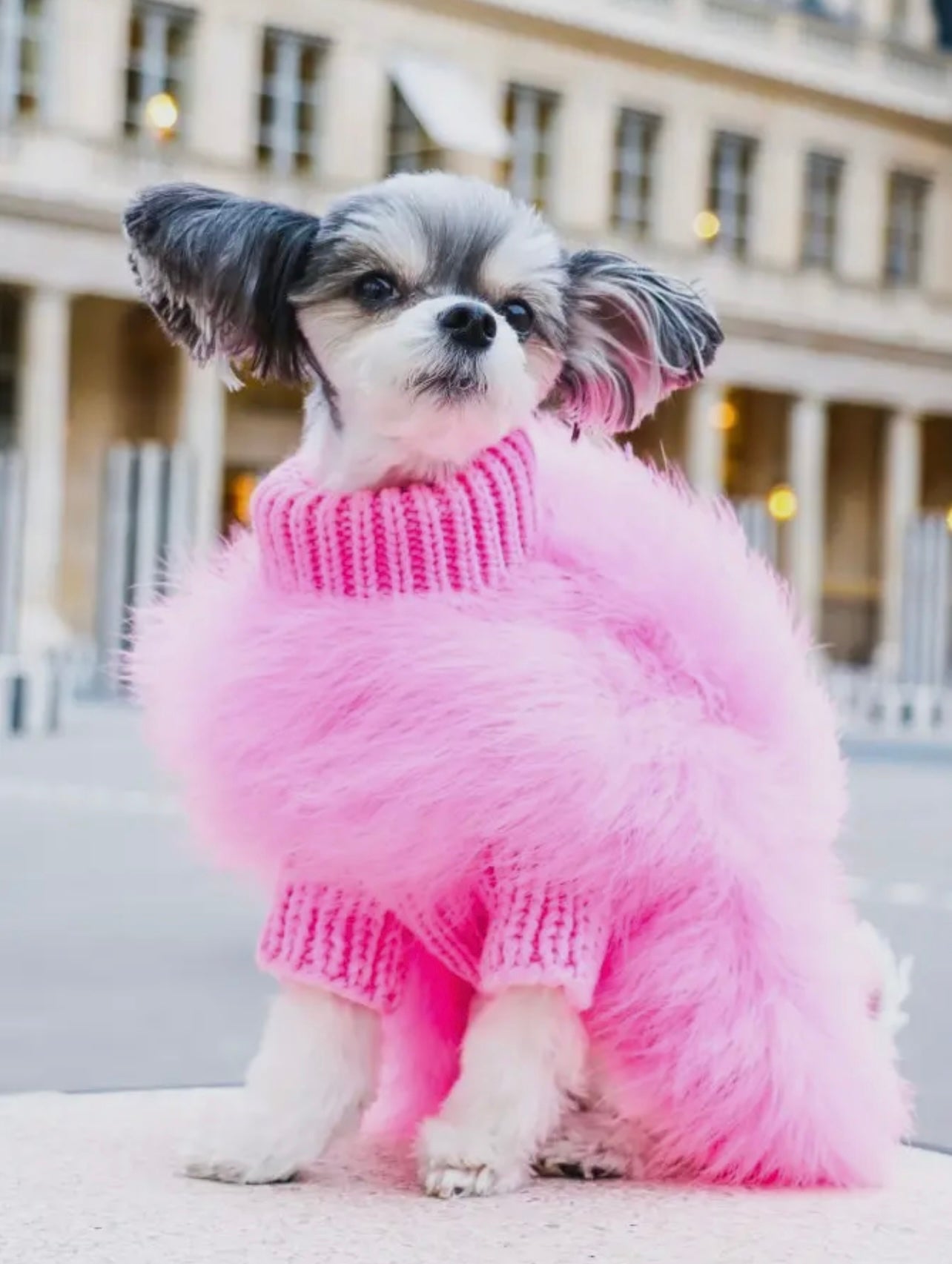 Haute Couture Luxury Feather Pet Sweater