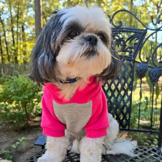 Color Block Dog Hoodie - Pink on Gray
