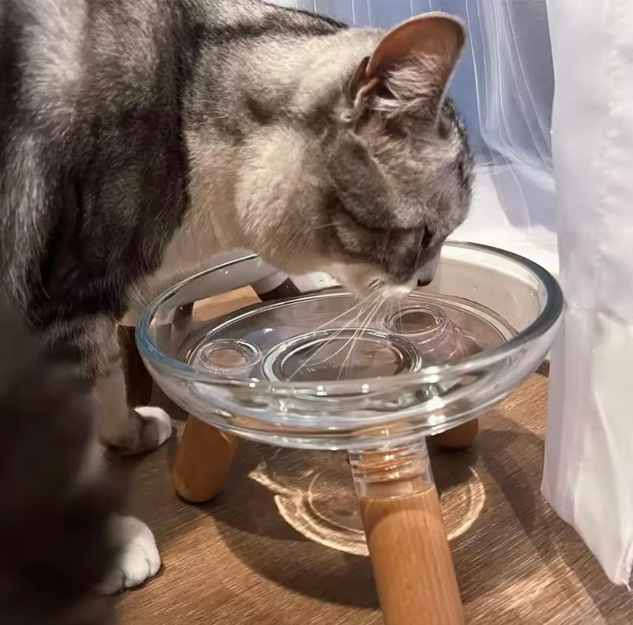 Glass Elevated Wooden Leg Cat Food and Water Bowl