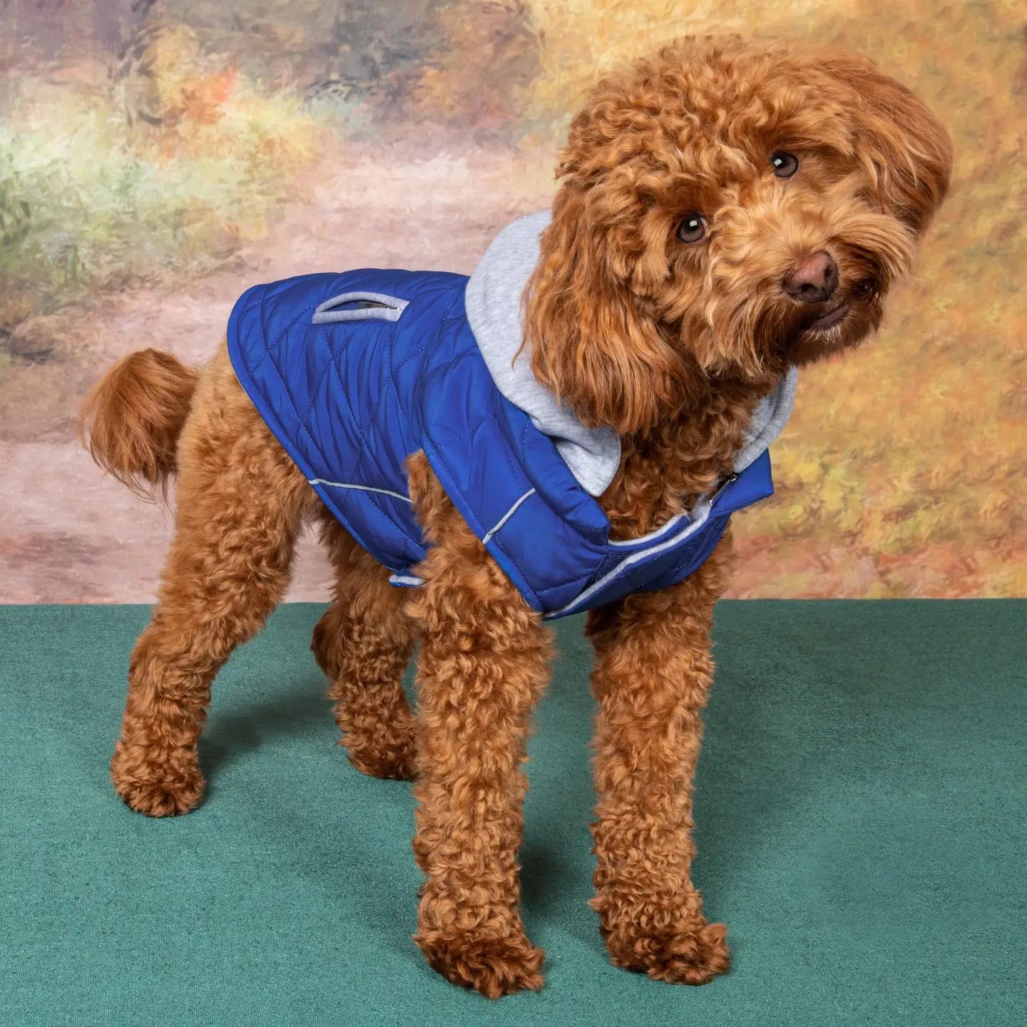 Weekender Quilted Hoodie Dog Sweatshirt