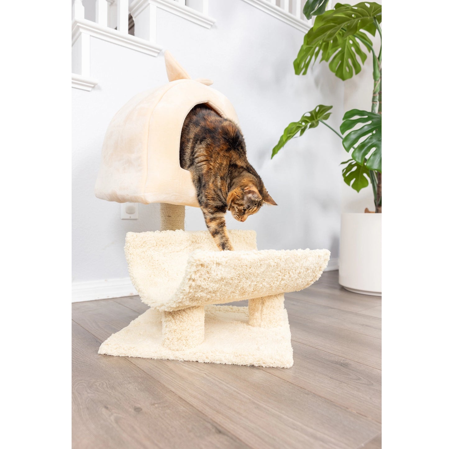 Real Wood Cat Condo and Scratching Post