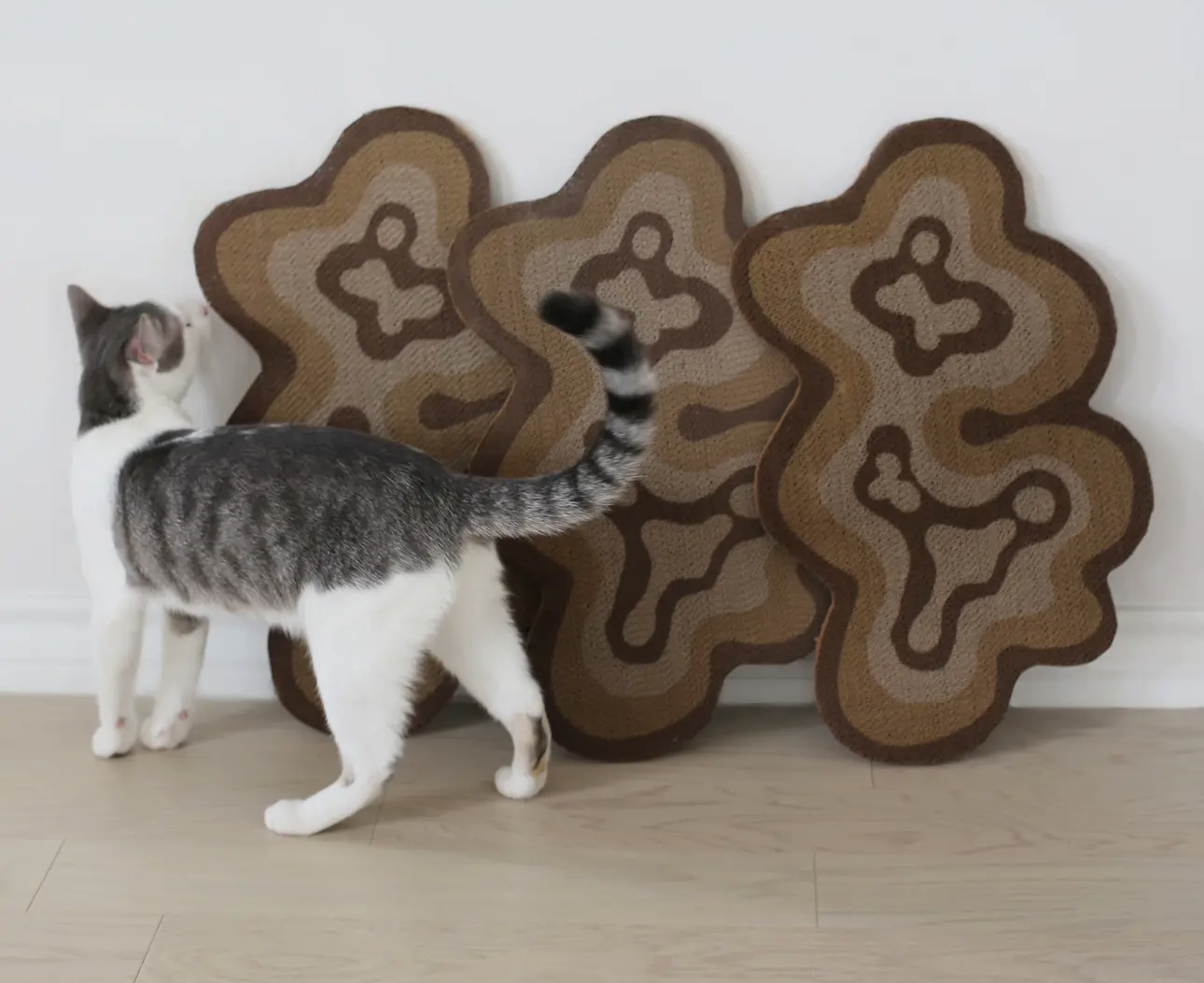 Bloom Cat Scratcher - Set of 3