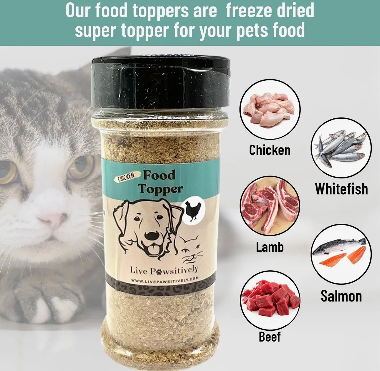 Freeze Dried Food Toppers