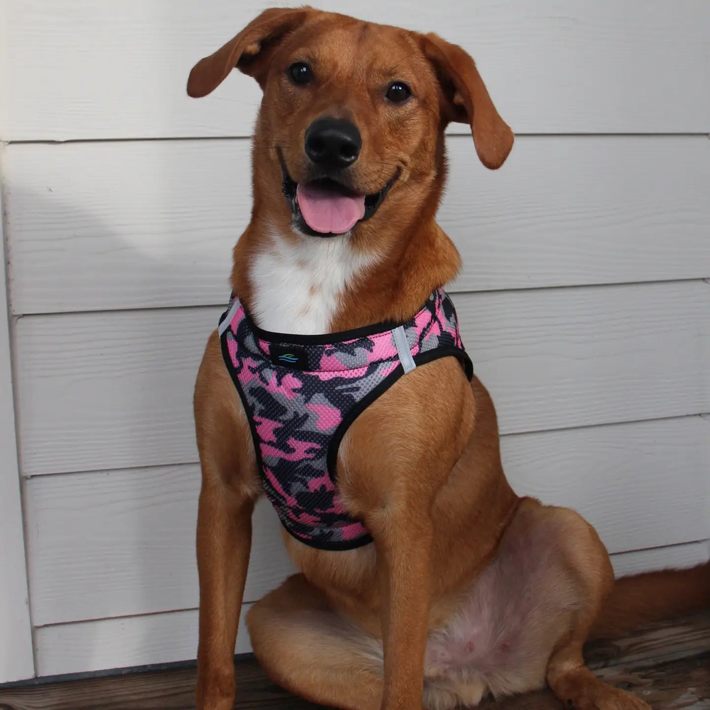 American River Pink Camo Step In Dog Harness