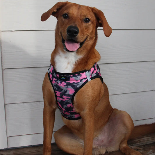 American River Pink Camo Step In Dog Harness