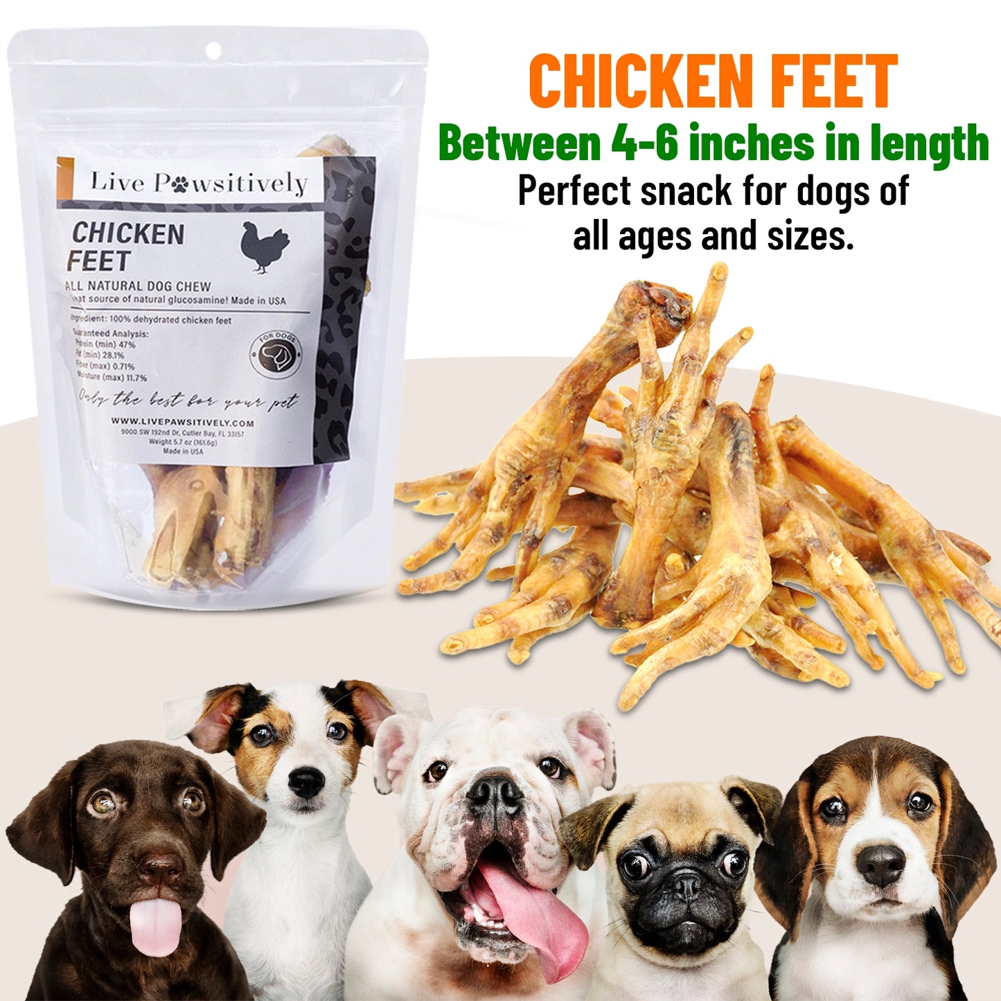 Chicken Feet Dog Chew - 10 Pack