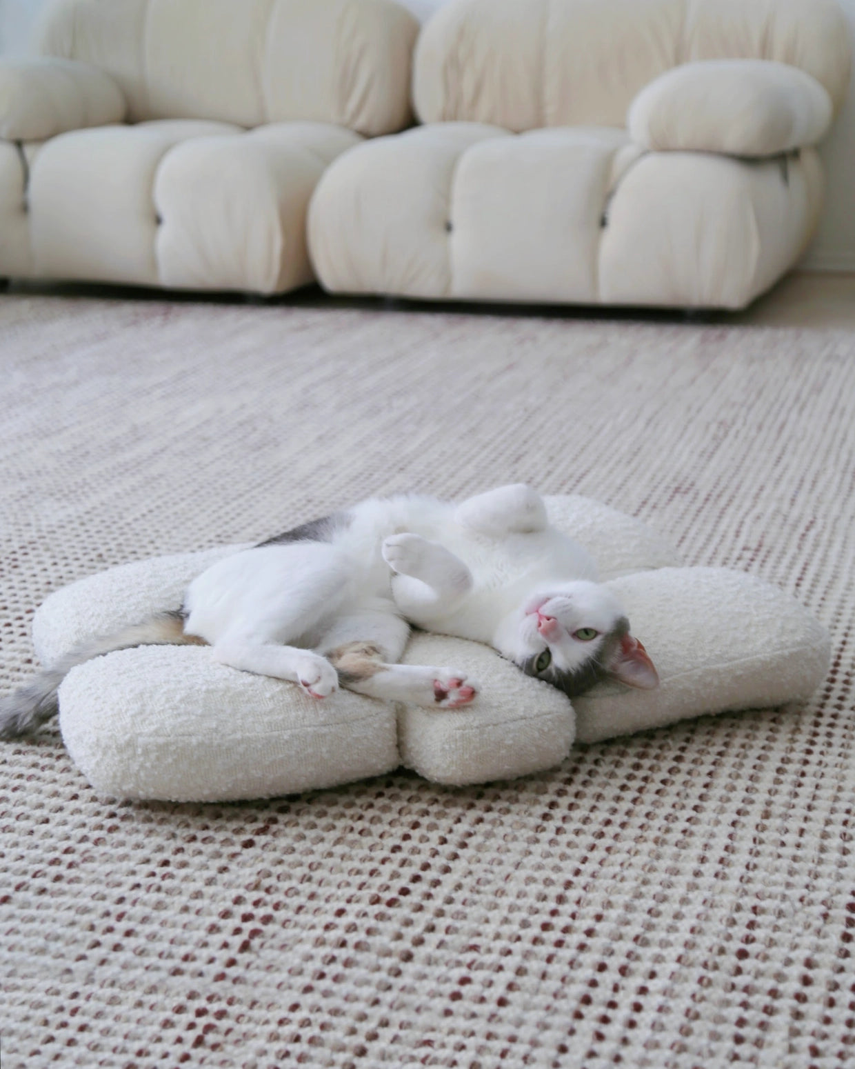Boucle Pebble Pet Bed