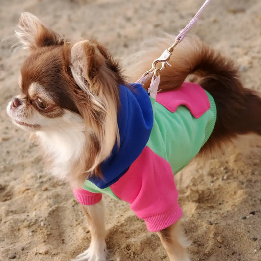 Color Block Dog Hoodie - Pink on Mint