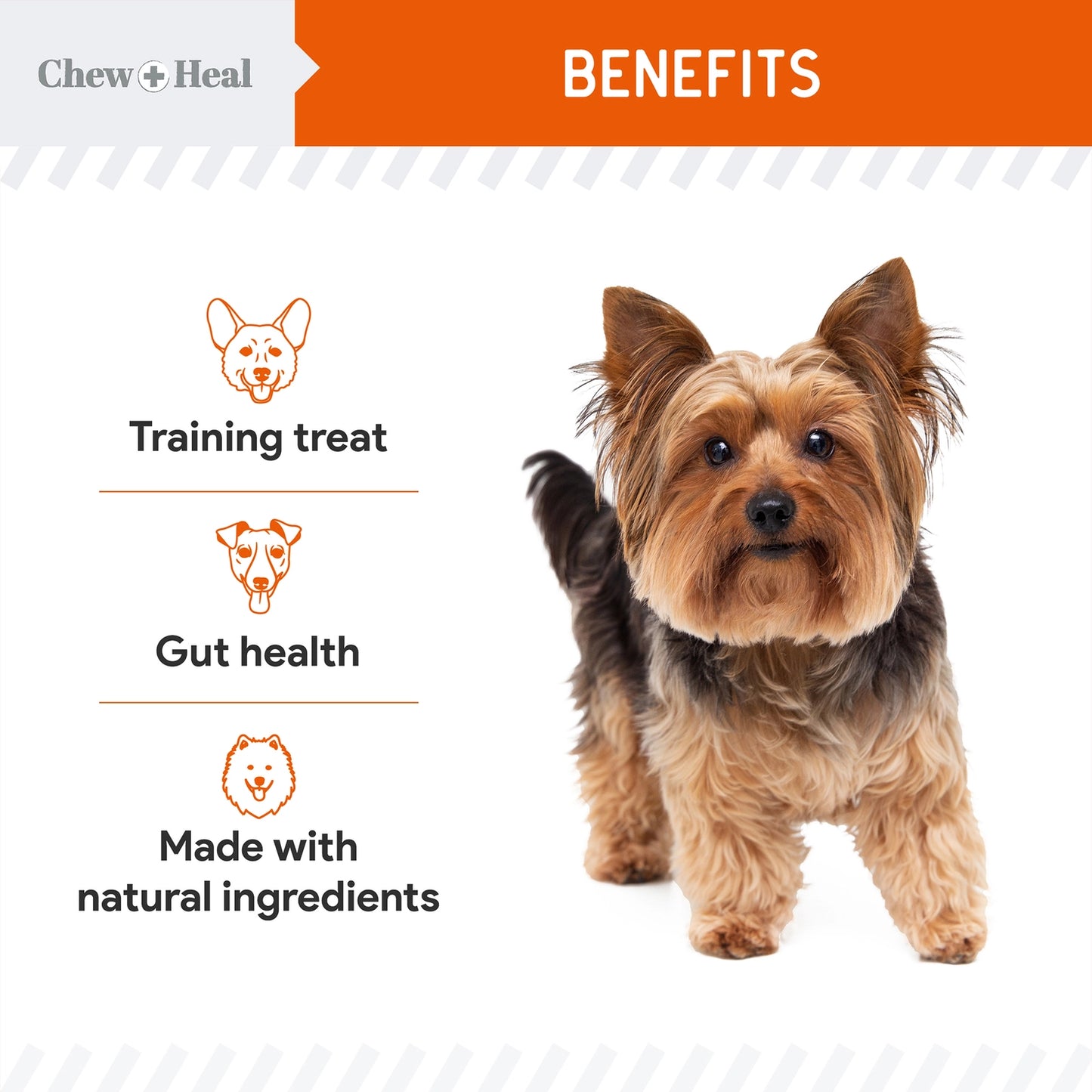 Pumpkin & Probiotics Crunchy Dog Treats