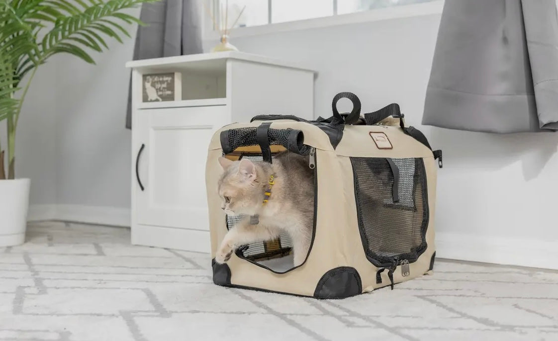 Folding Soft Pet Travel Carrier