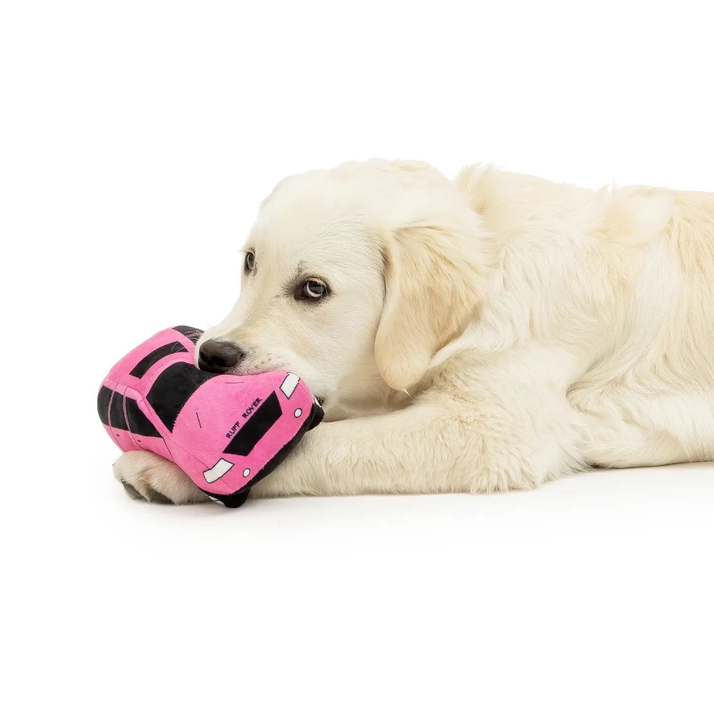 Ruff Rover Pink Plush Parody Dog Toy