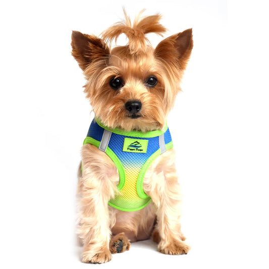 American River Blue, Yellow & Lime Ombré Step In Dog Harness