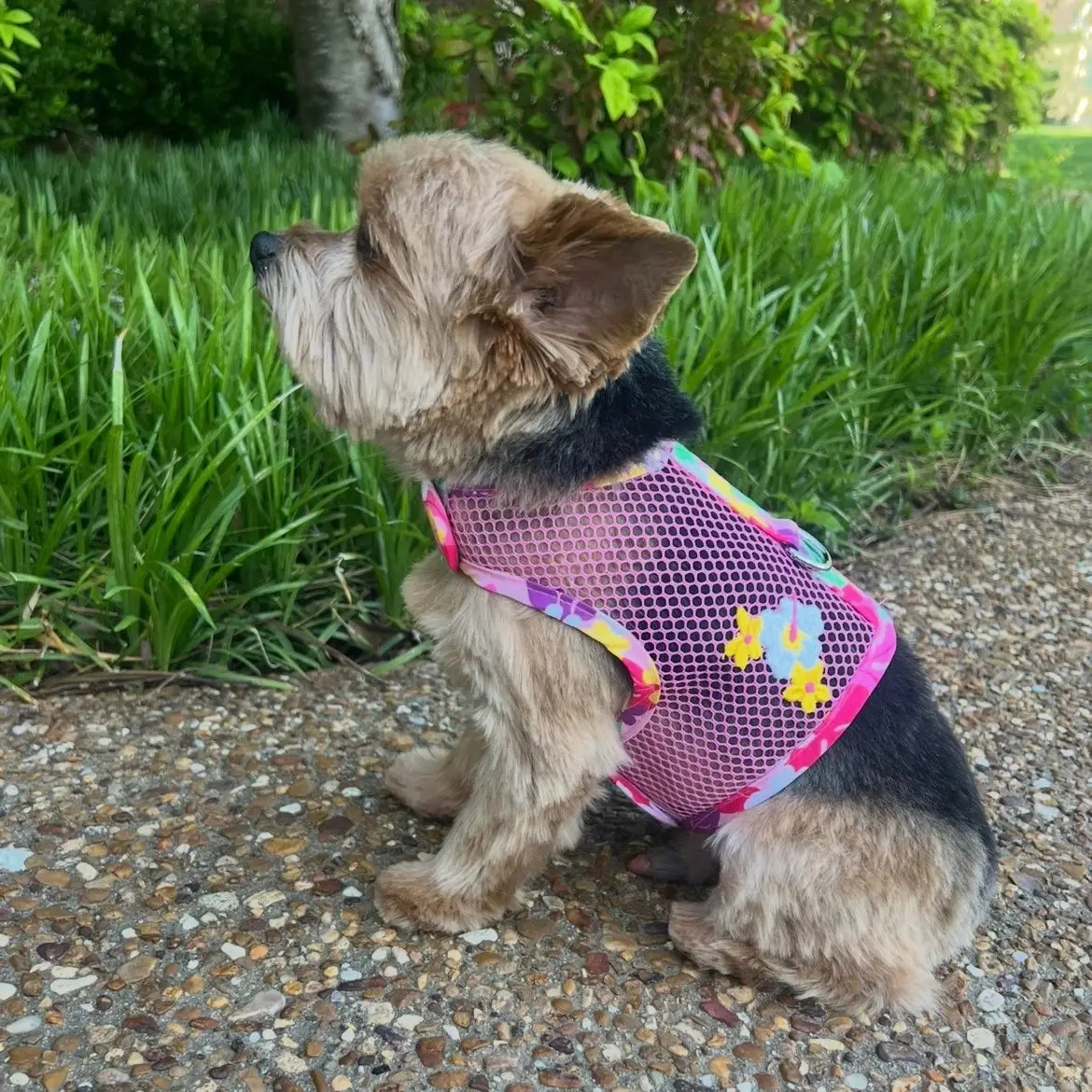 Cool Mesh Pink Hawaiian Floral Dog Harness With Leash