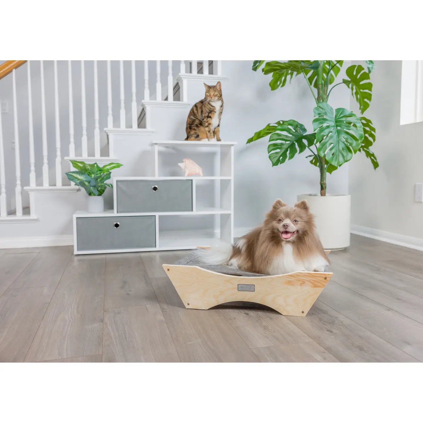 Elevated Cozy Pet Hammock For Cats Sleepy Bed