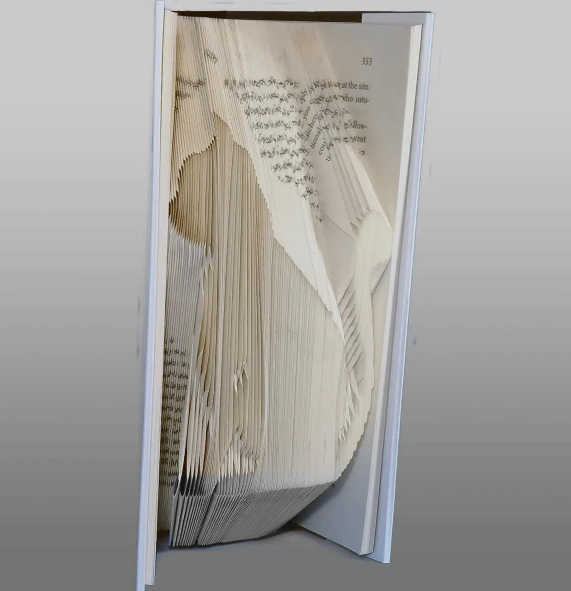 Sculpted Cat Book