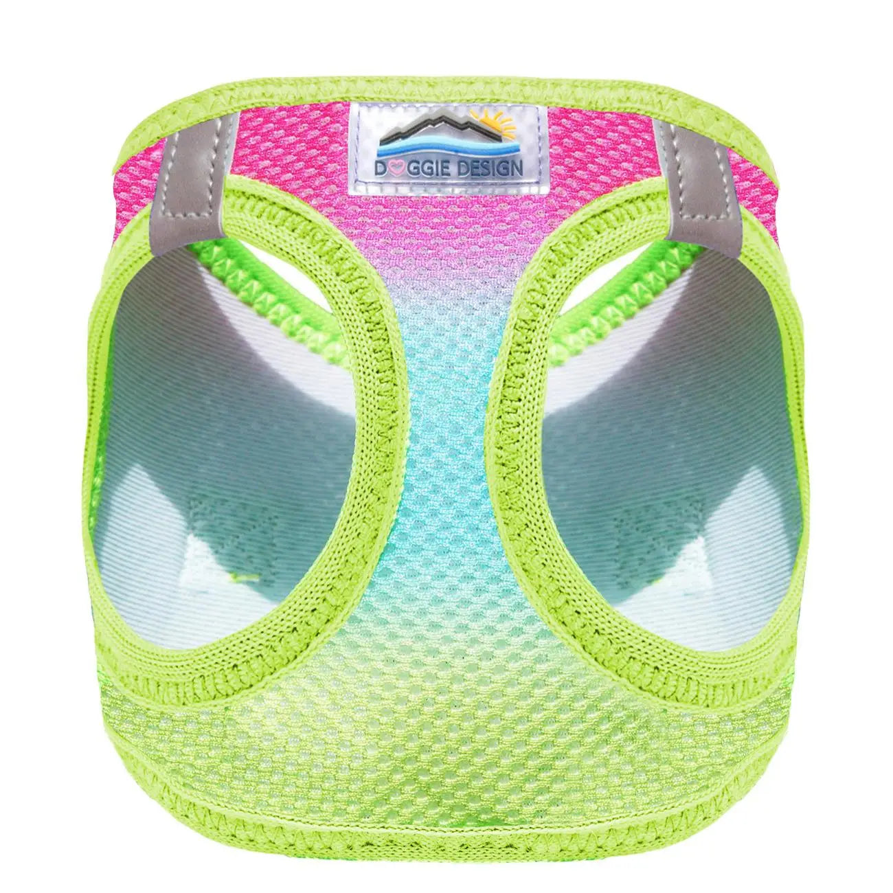 American River Rainbow Step In Dog Harness