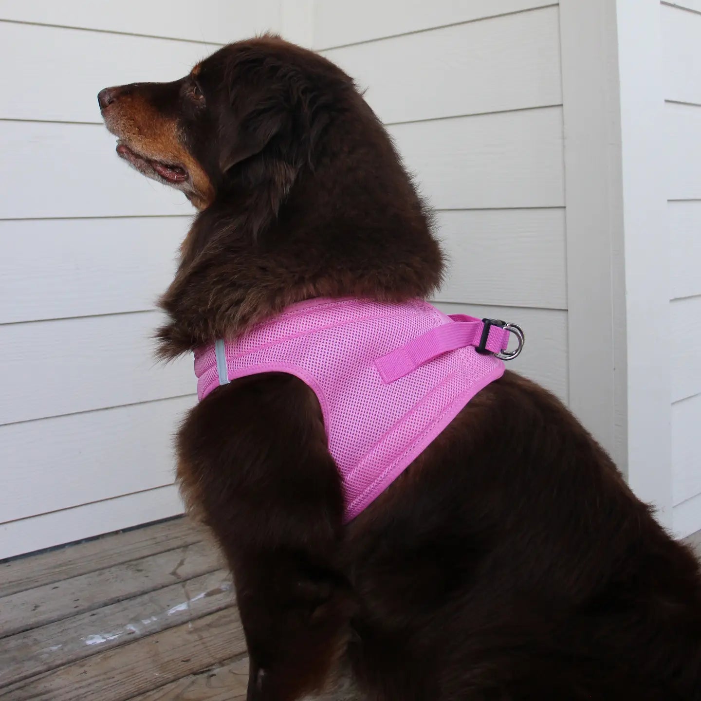 American River Candy Pink Step In Dog Harness