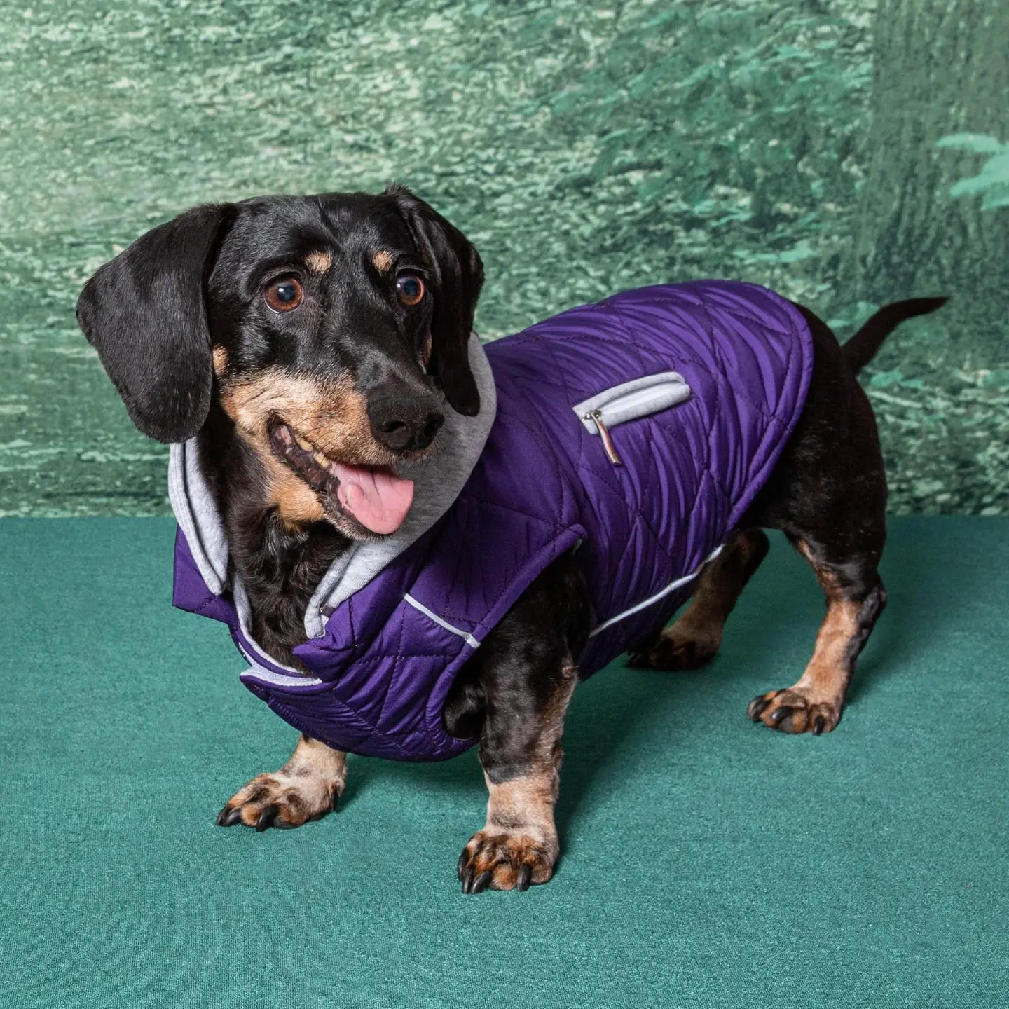 Weekender Quilted Hoodie Dog Sweatshirt