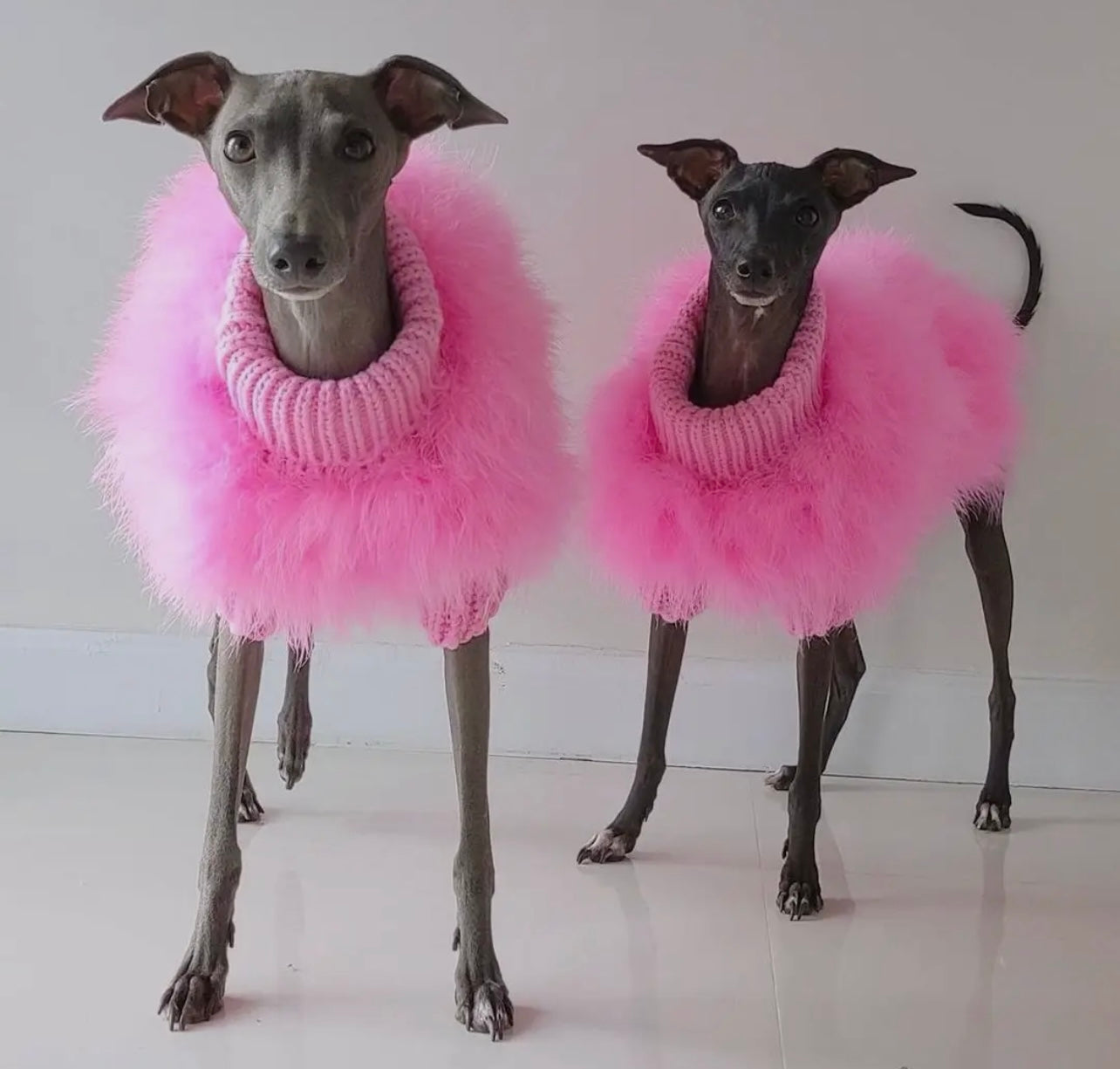 Haute Couture Luxury Feather Pet Sweater