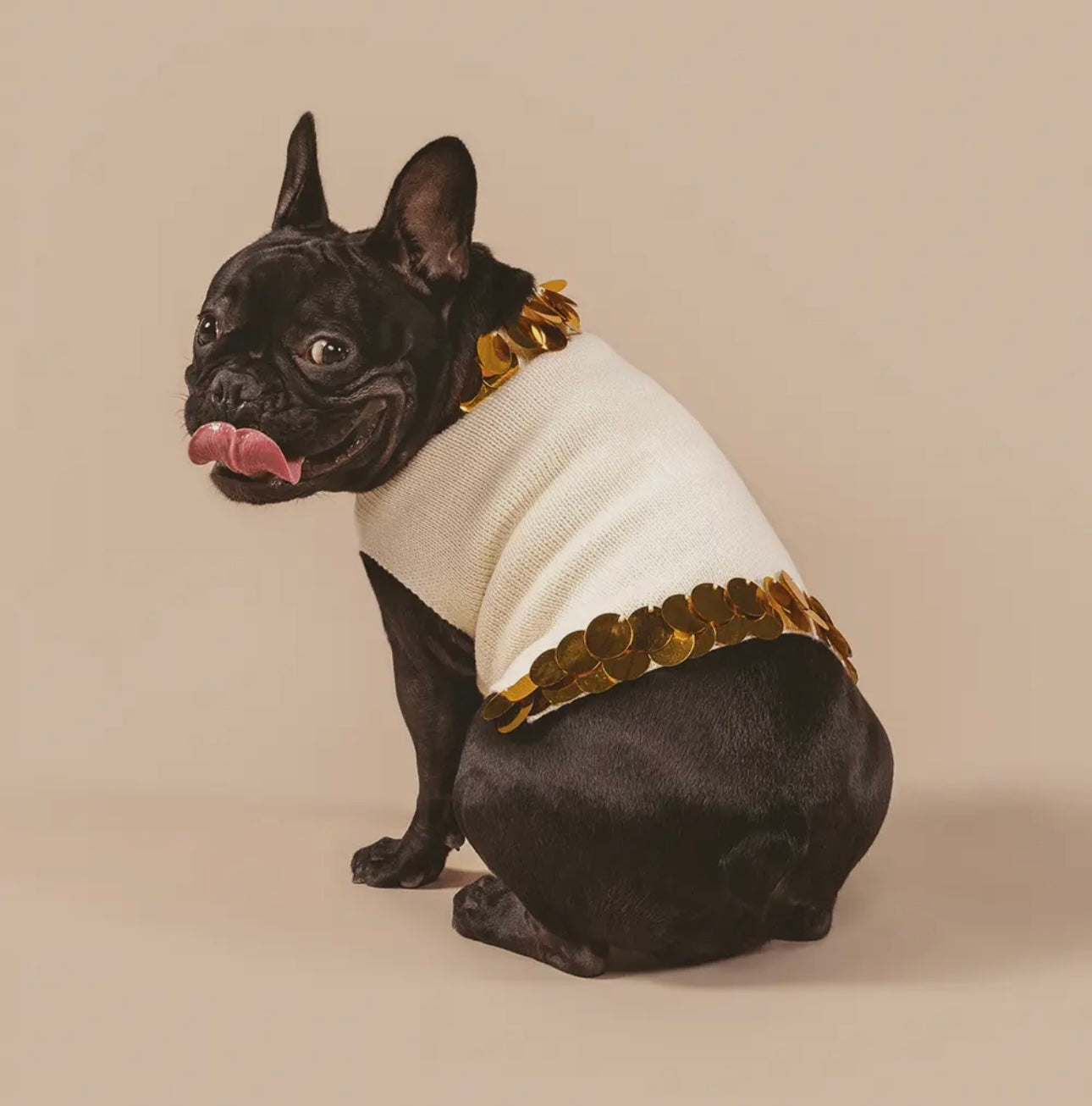 She Fancy Cream Dog and Cat Sweater with Handsewn Gold Paillettes - Small Dogs Only